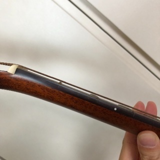 【美品】Aria Dreadnought AD-35N × RITTER ケースの画像