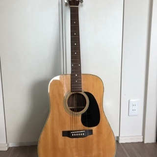 【美品】Aria Dreadnought AD-35N × RI...