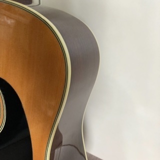 【美品】Aria Dreadnought AD-35N × RITTER ケースの画像