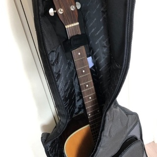 【美品】Aria Dreadnought AD-35N × RITTER ケースの画像