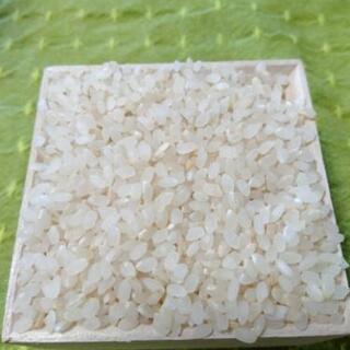 お米 約15kg
