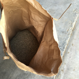 くず米  令和元年 コシヒカリから 君津市産