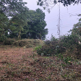 草刈りメンバー募集中！