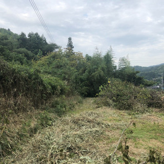 草刈りメンバー募集中！の画像