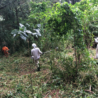 草刈りメンバー募集中！の画像