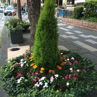 右手で弾けるようになりたい！　全くはじめてピアノを弾く方へ　◼️博多