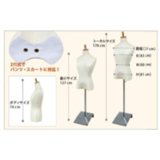 トルソー 7号 ディスプレイの画像