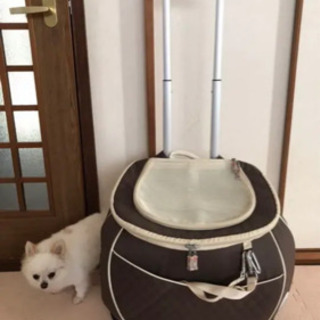ペット キャリー、リュック、カート
