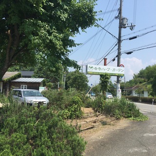 耕作放棄になっている農地 (和歌山市・岩出市・紀の川市・海南市)