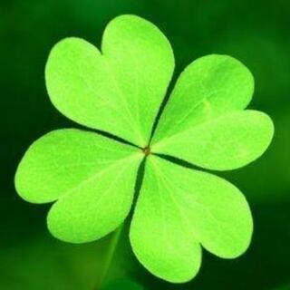 お住まいでお困りがありましたら🍀