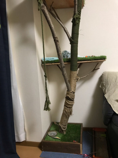 キャットタワー  天然木ハンドメイド