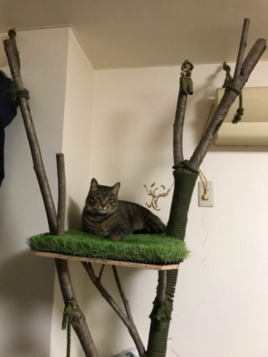 キャットタワー  天然木ハンドメイド