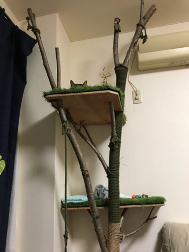 キャットタワー  天然木ハンドメイド