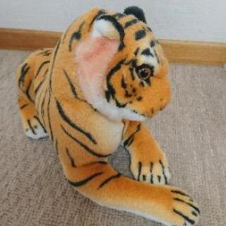 お人形🐱の画像