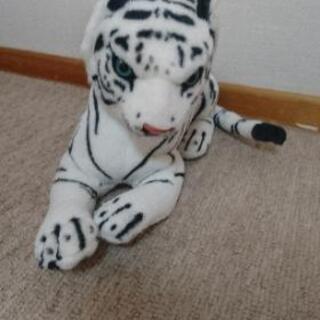 お人形🐱の画像