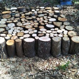 薪割りしたい方に！広葉樹の玉切り丸太。長さ２９cm程度。軽トラ１...