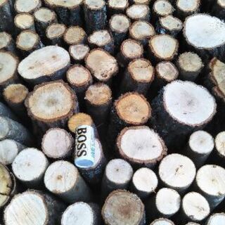 薪割りしたい方に！広葉樹の玉切り丸太。長さ２９cm程度。軽トラ１台価格。茨城県潮来市。の画像