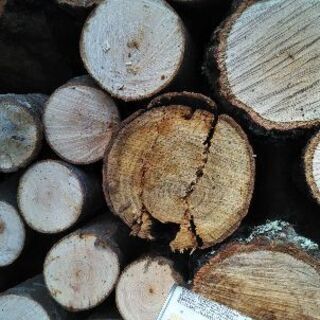 薪割りしたい方に！広葉樹の玉切り丸太。長さ２９cm程度。軽トラ１台価格。茨城県潮来市。の画像