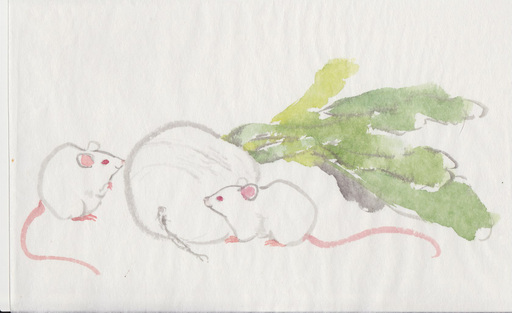 はじめての水墨画 短期講座全6回日曜10/20スタート (SACHI
