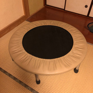 家庭用トランポリン