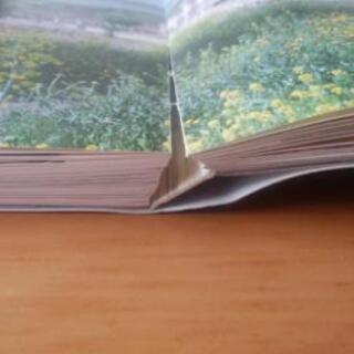 【最終値下げ】【写真集】イスラエルに見る聖書の世界の画像