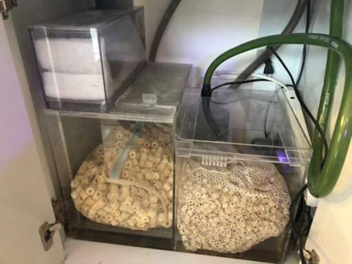 60センチワイド水槽セット