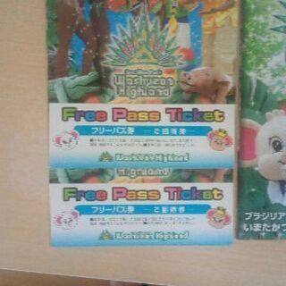 決定 鷲羽山ハイランド 大人フリーパス券