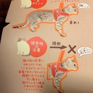 値下げしました。猫用 ハーネス、リード Mサイズ 試着のみの画像
