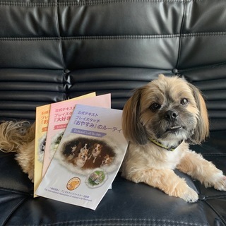 【犬のタッチケア】プレイズタッチ®パートナーズ・セミナー for...