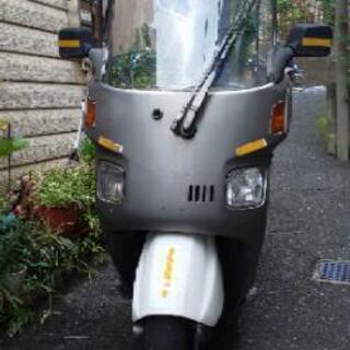 ジャイロの画像