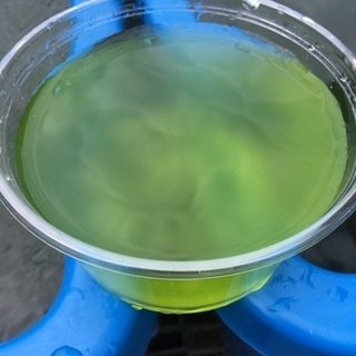 グリーンウォーター・500ml
