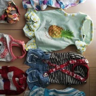 チワワなど小さいワンコの服。女の子用の画像