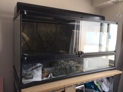 EXO TERRA 爬虫類 飼育水槽セット 90×45×45