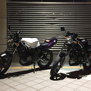 TZR50 3TU  50cc の画像