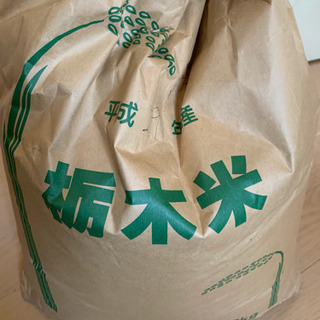 お米29年産