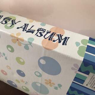 L版　大容量型アルバム　かわいい　綺麗な状態です。の画像