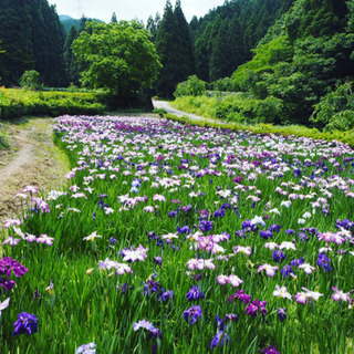 福井県カメラサークル - メンバー募集