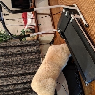 ウォーキングマシン