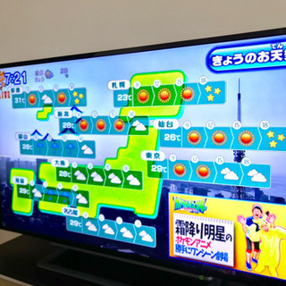TOSHIBA REGZA 液晶テレビの画像