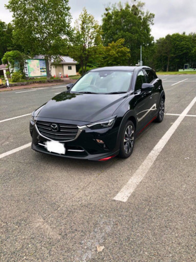 cx3用、アイライン、フロントグリルガーニッシュ、アイラインガーニッシュ