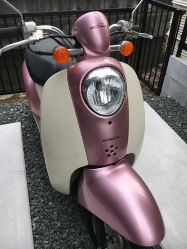 【整備済！すぐ乗れます！】原付 50cc ホンダ スクーピー 岡山