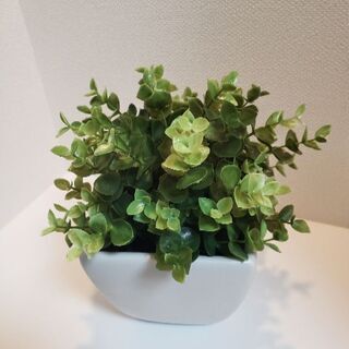 【新品未使用】土瓶と湯飲み　造花セット　インテリアにも