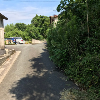 【助けて！】草刈りボランティア募集中