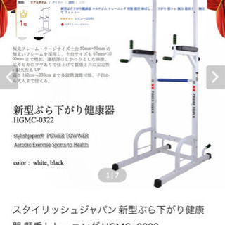 スタイリッシュジャパン ぶら下がり健康器具