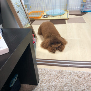 中村区で一緒にダイエットしませんか^_^