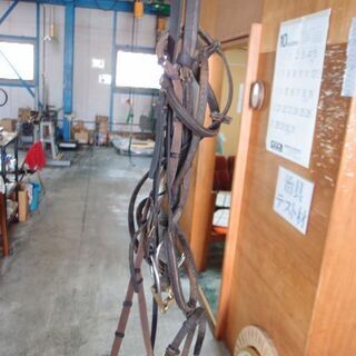 馬場馬術用の鞍になります!!の画像