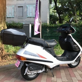 【希少】スペイシー１２５　白　JF03　実動車の画像