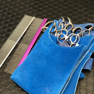 北摂 トリミングサロン🐩✂️Mashulo(マシュロ)