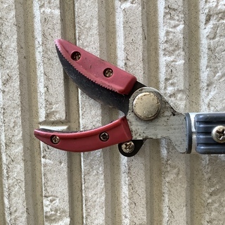 高枝切りバサミの画像