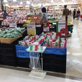 あなたの都合に合わせて勤務可能です。試食販売スタッフ紹介　30,...